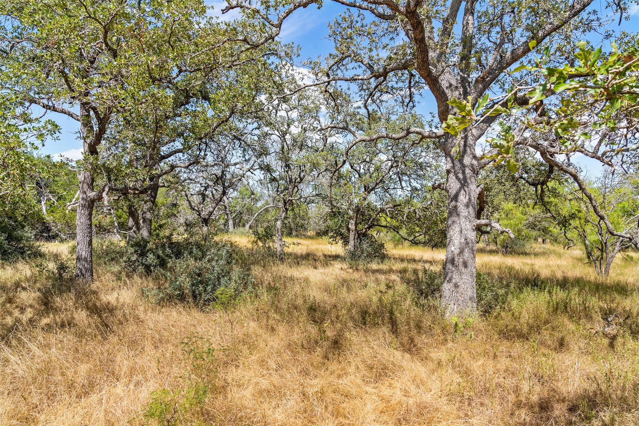 18.145 Acres Herber-schaefer Rd Property Photo 30