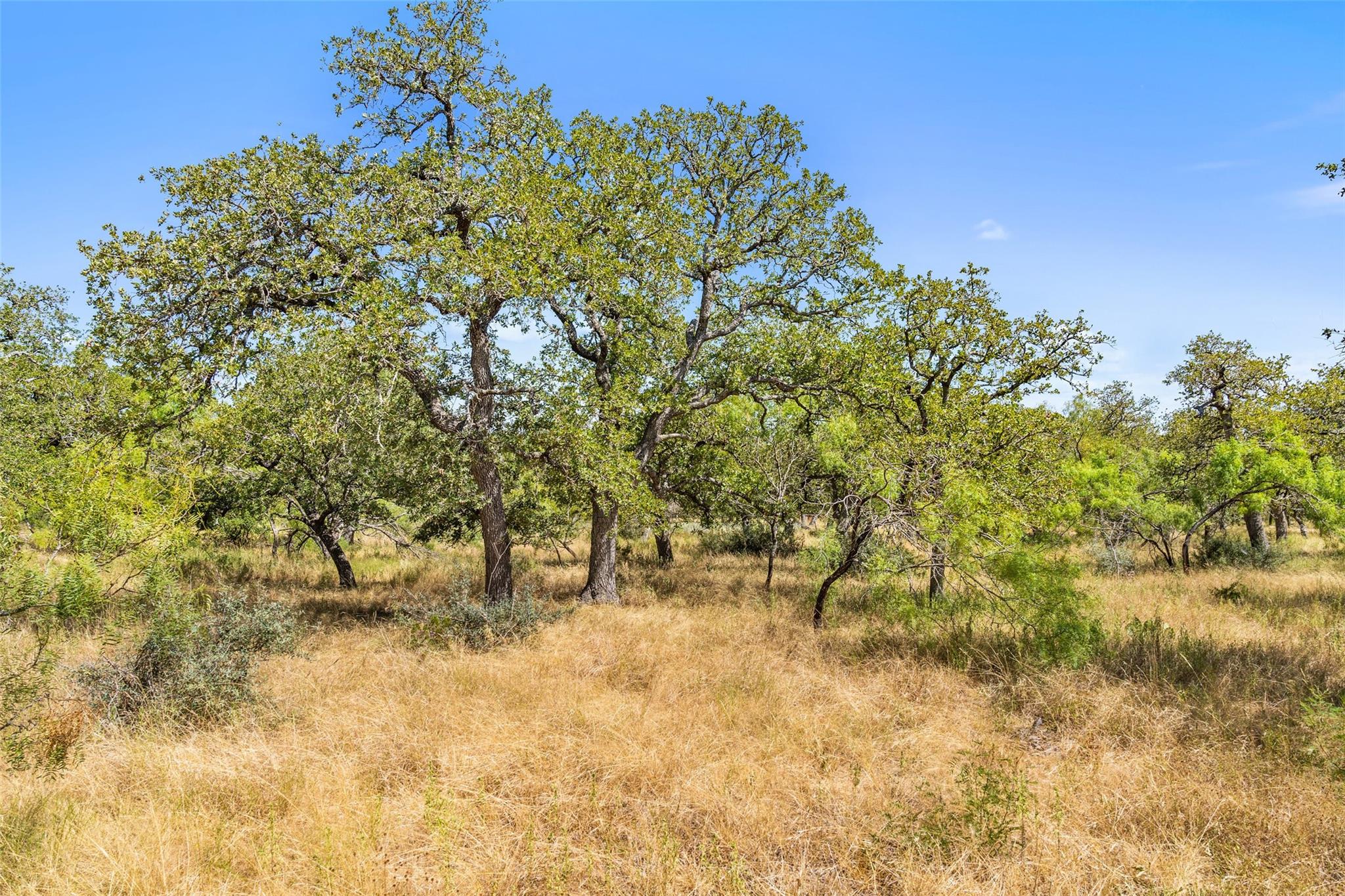 18.145 Acres Herber-schaefer Rd Property Photo 31