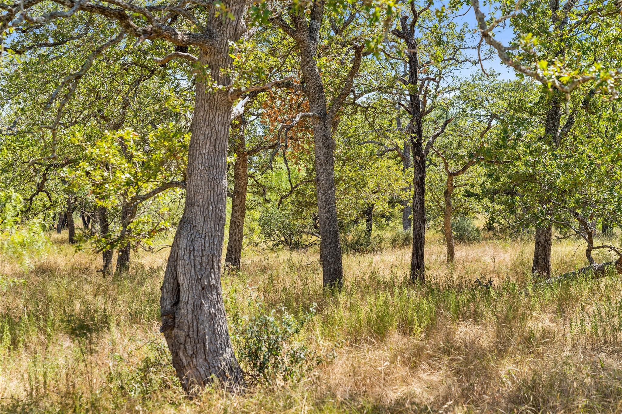 18.145 Acres Herber-schaefer Rd Property Photo 32