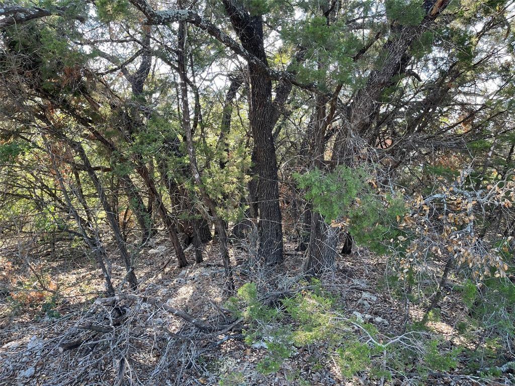 21105 Santa Carlo Ave Property Photo 4