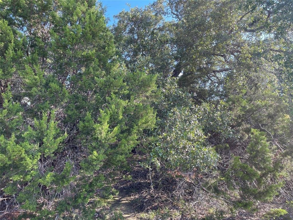 21105 Santa Carlo Ave Property Photo 8