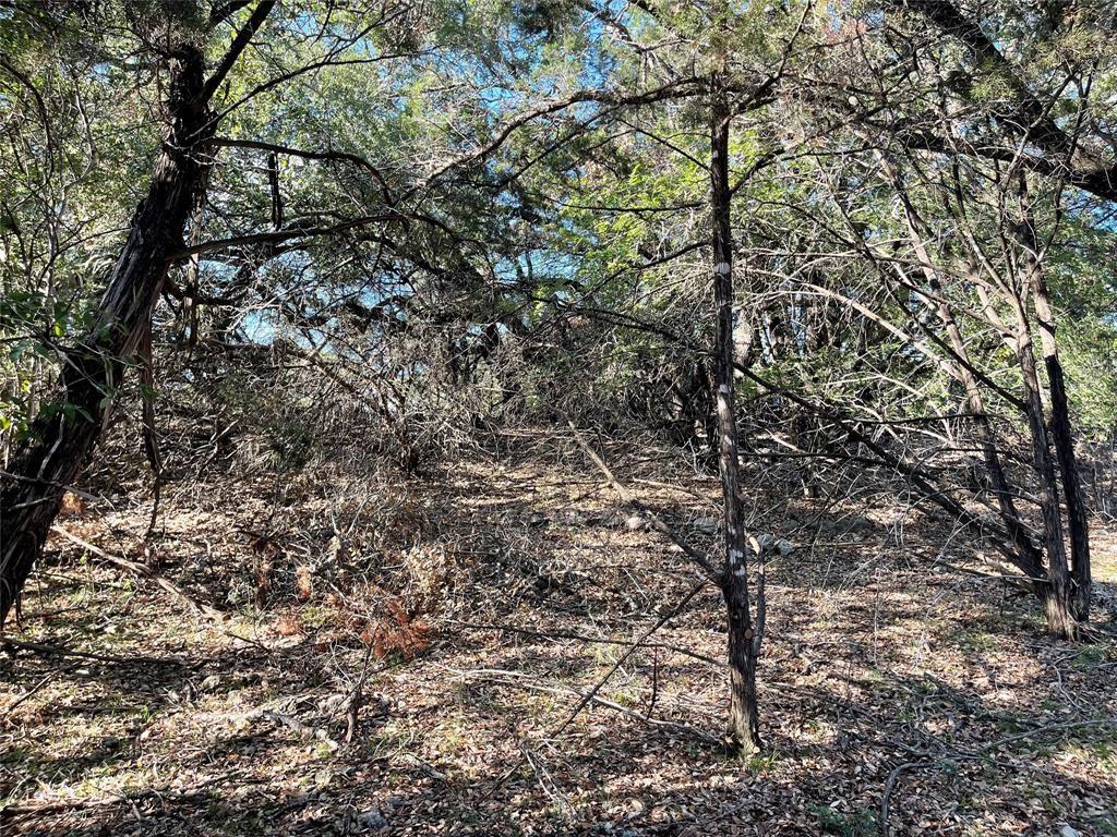 21105 Santa Carlo Ave Property Photo 10