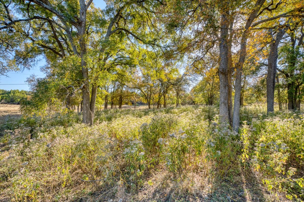 20949 Firefly Rd Property Photo 6