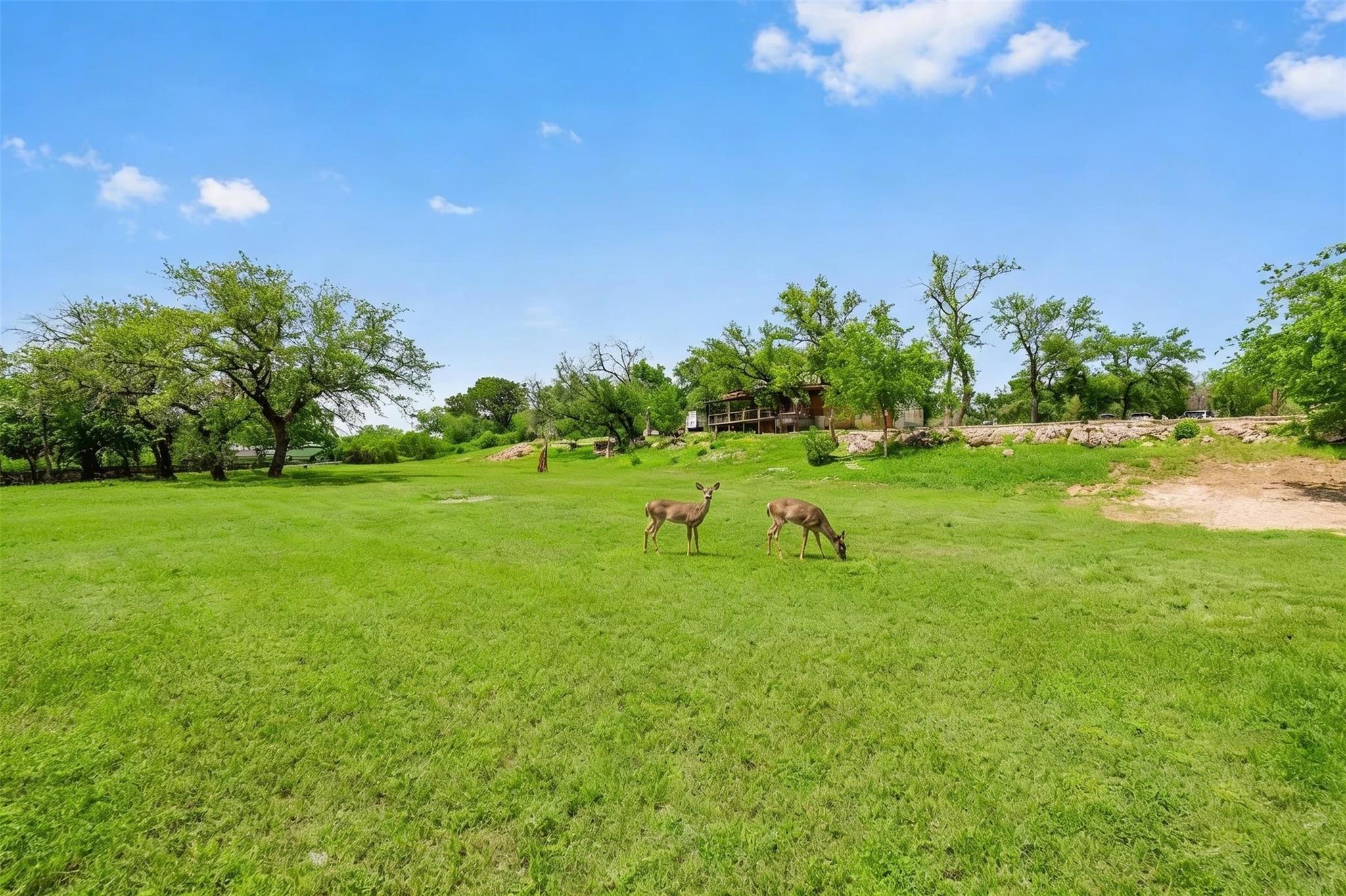 17101 Feather Rock Trl Property Photo 6