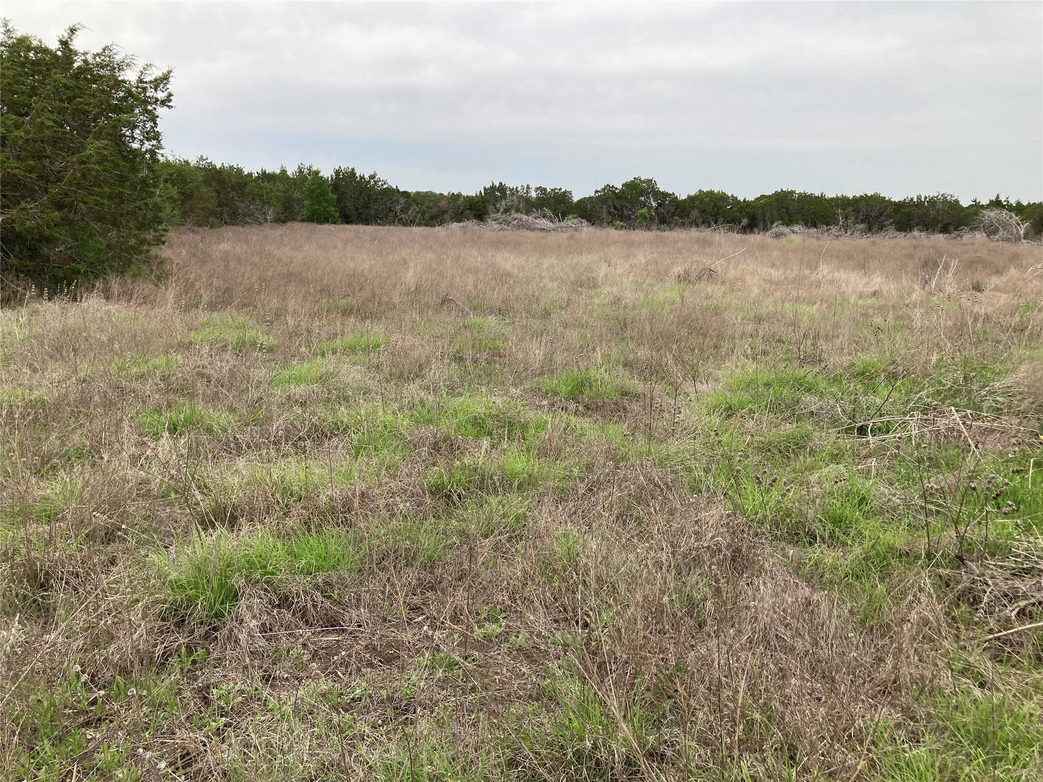 100 County Road 220 Property Photo