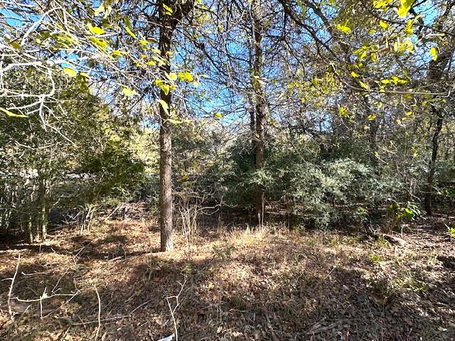 506 Tahitian Dr Property Photo 4