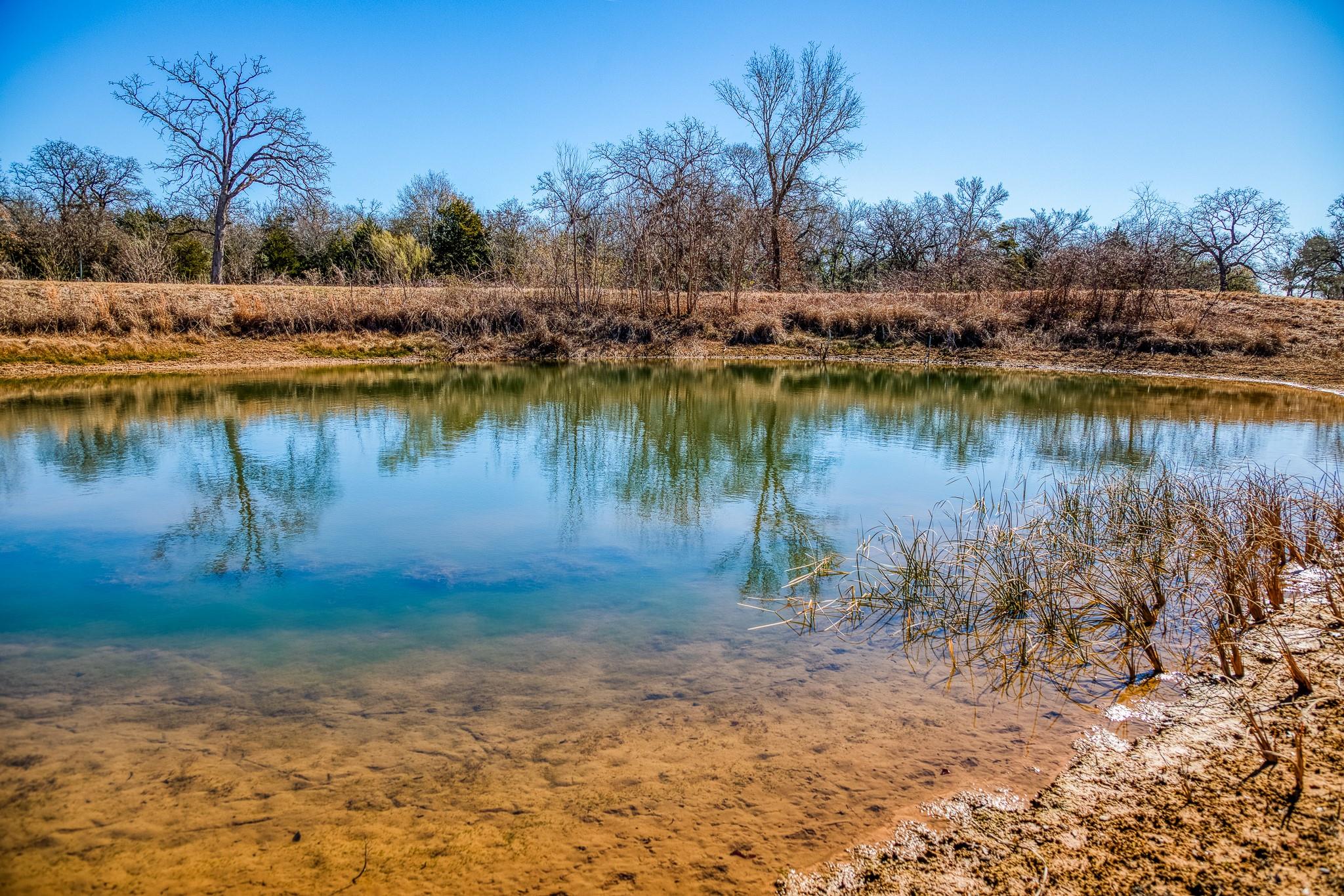 6196 Fm 975 Property Photo 4