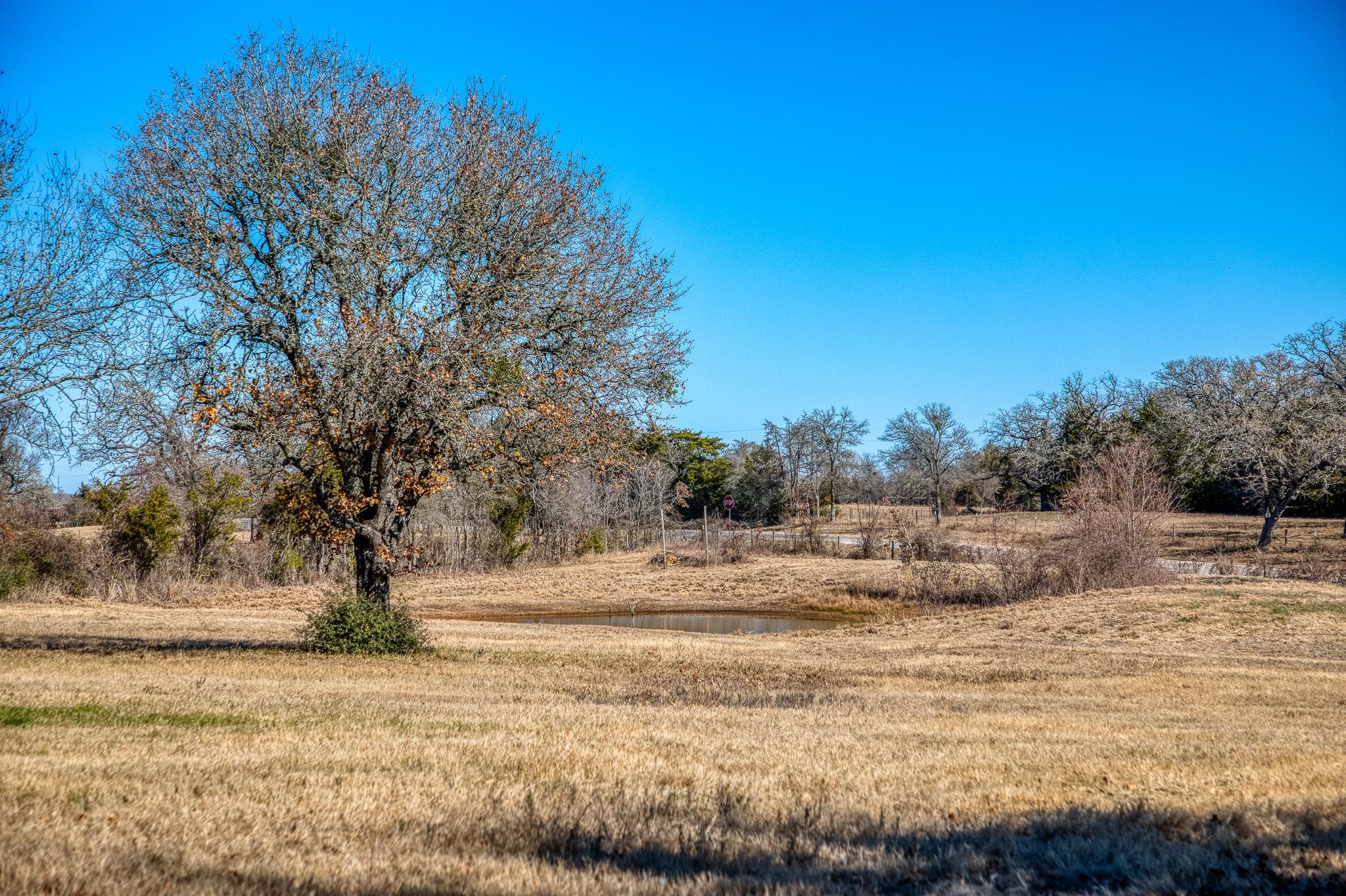 6196 Fm 975 Property Photo 5