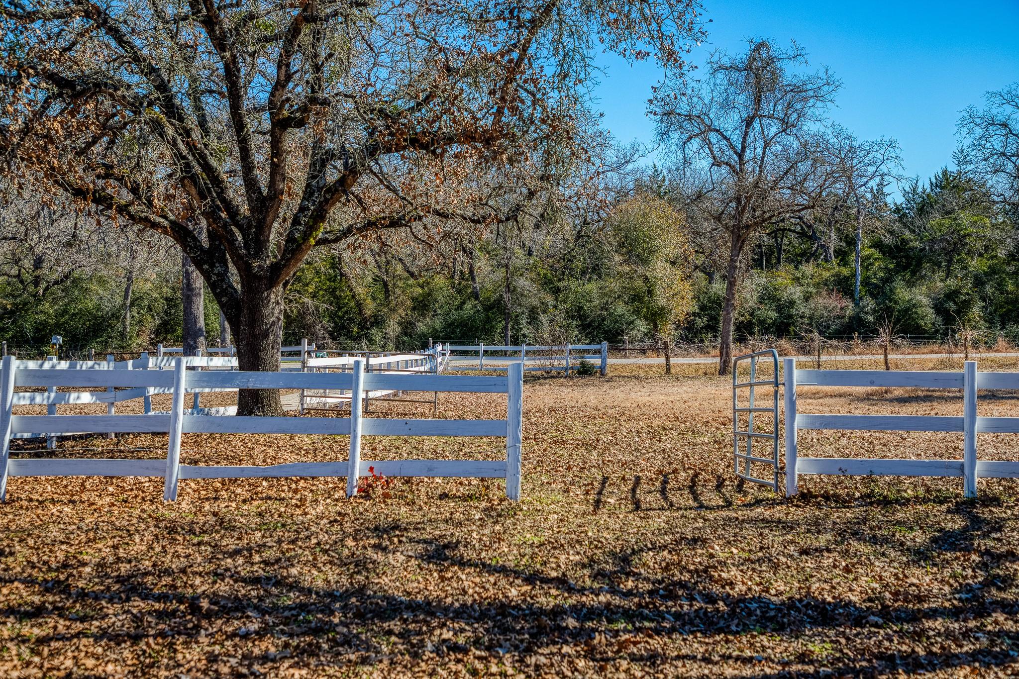 6196 Fm 975 Property Photo 14