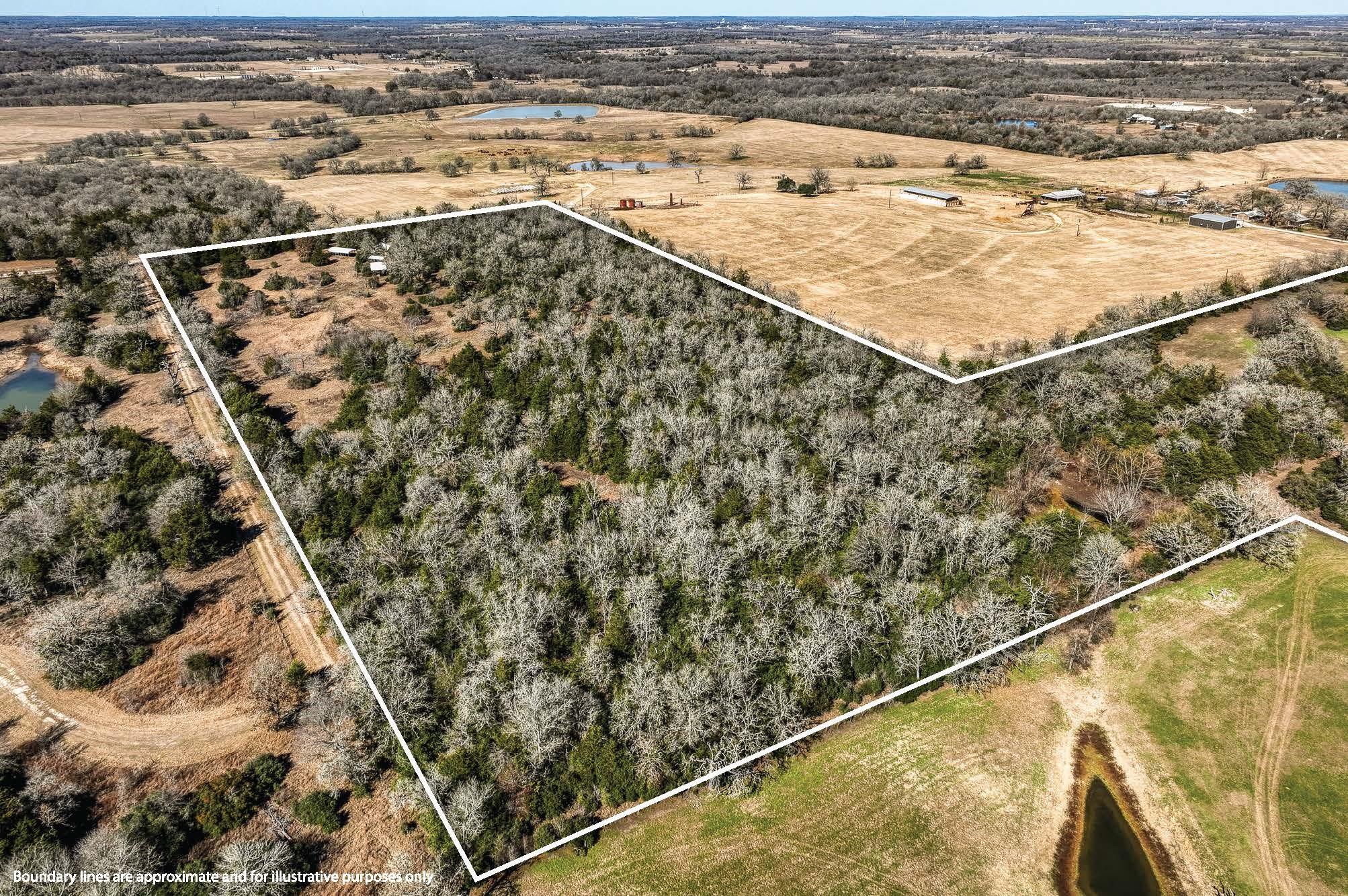 6196 Fm 975 Property Photo 35