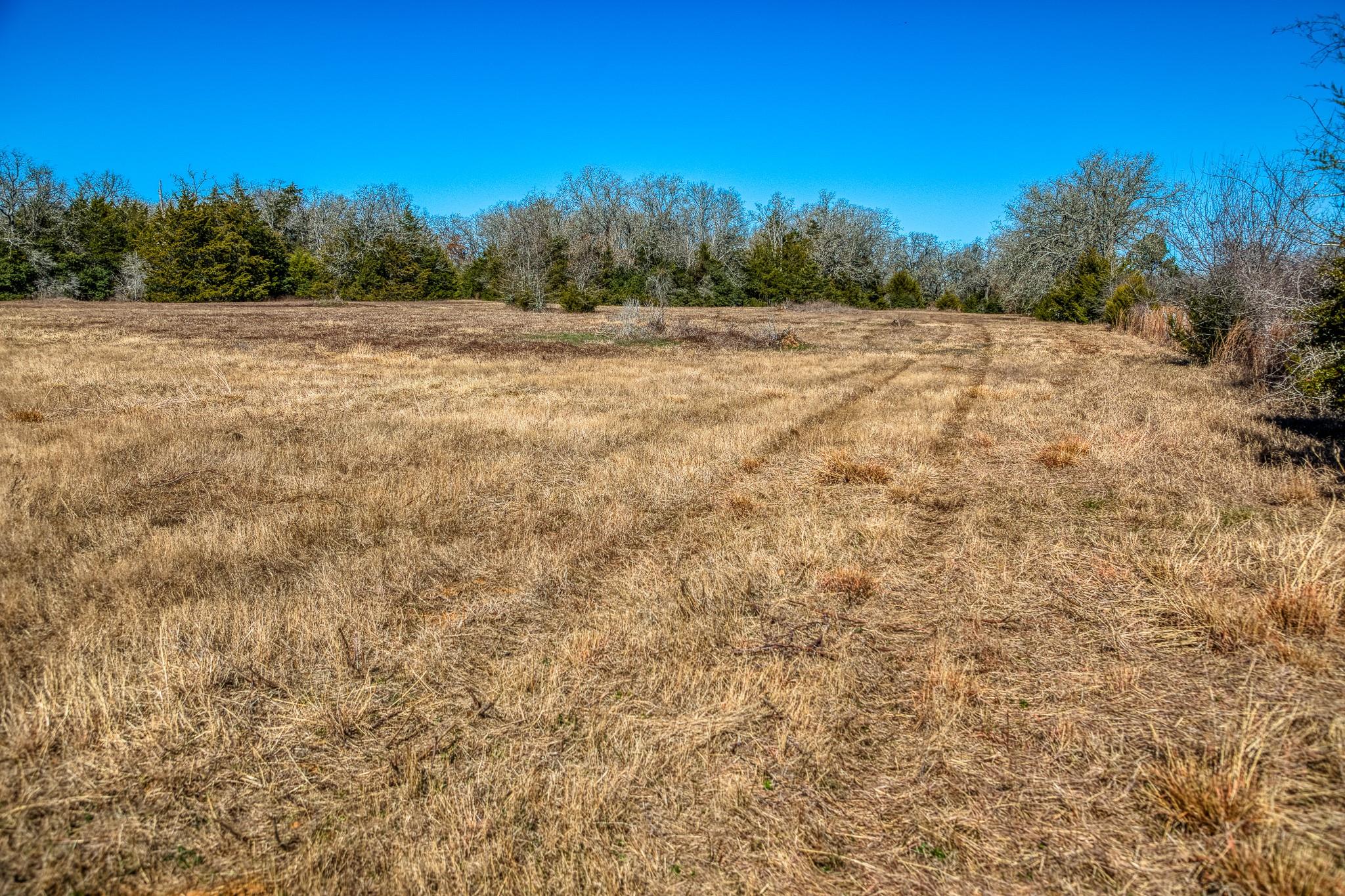 6196 Fm 975 Property Photo 37
