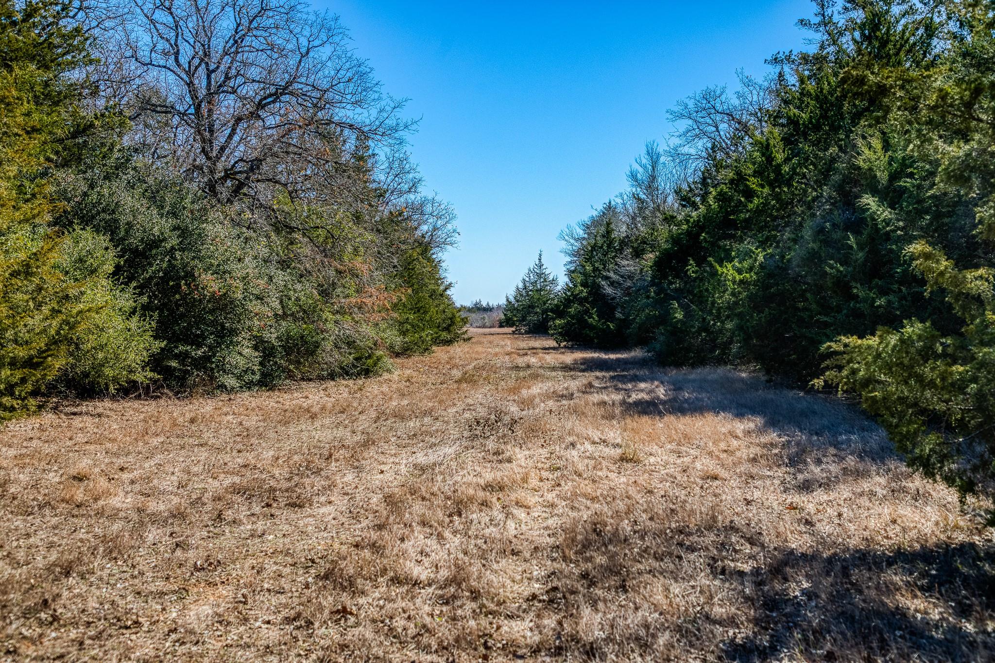 6196 Fm 975 Property Photo 39