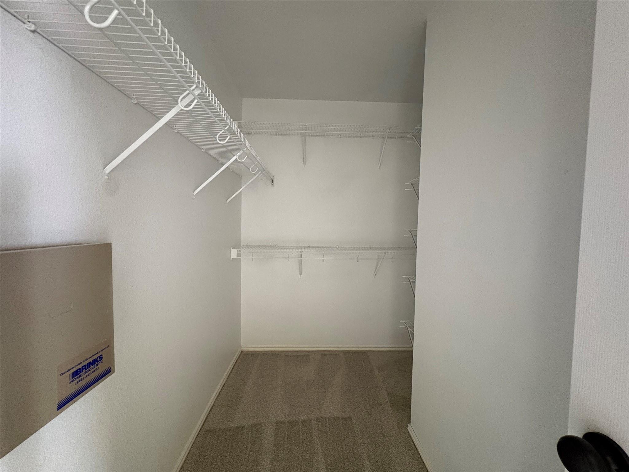 17604 Limpia Creek Dr Property Photo 17