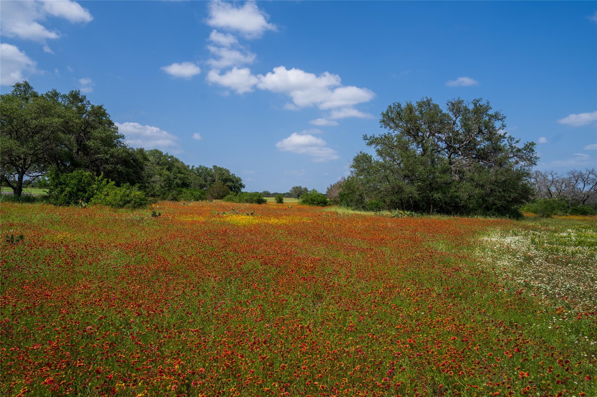 488 Rr 1323 Lot 16 Dr Property Photo 2