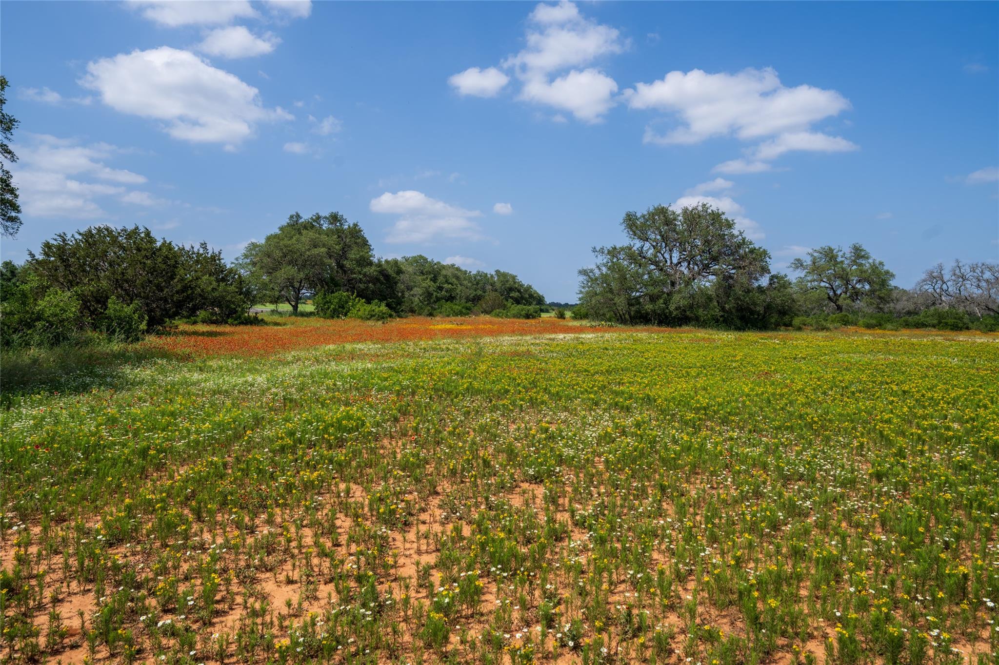 488 Rr 1323 Lot 16 Dr Property Photo 5