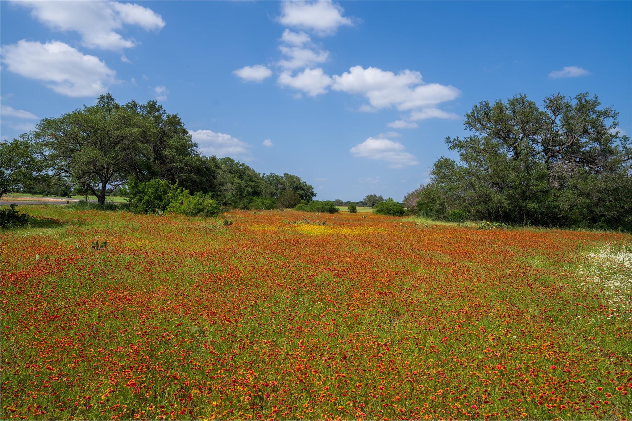 488 Rr 1323 Lot 16 Dr Property Photo 13