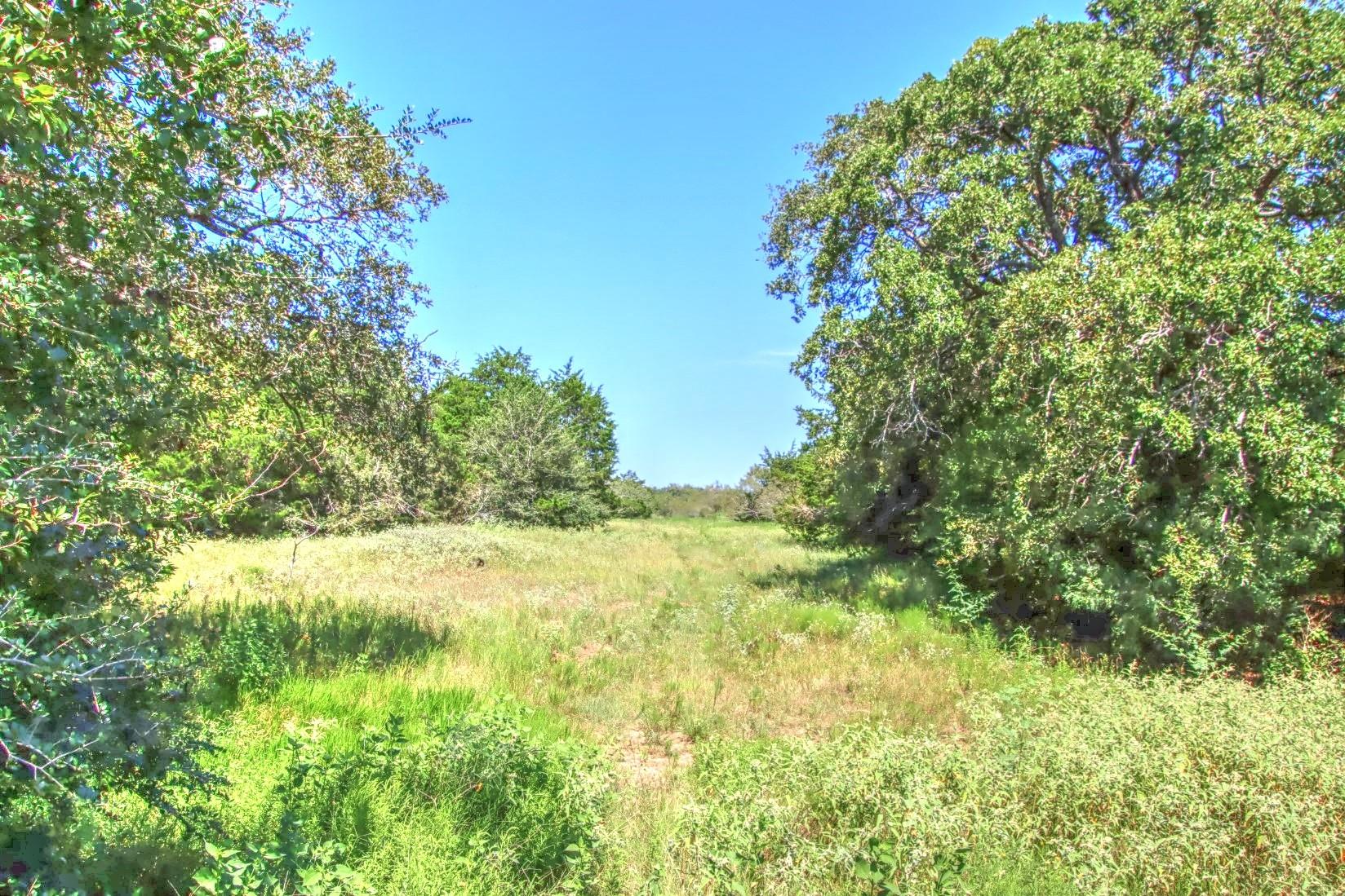 Tract 4 County Road 307 Property Photo 3