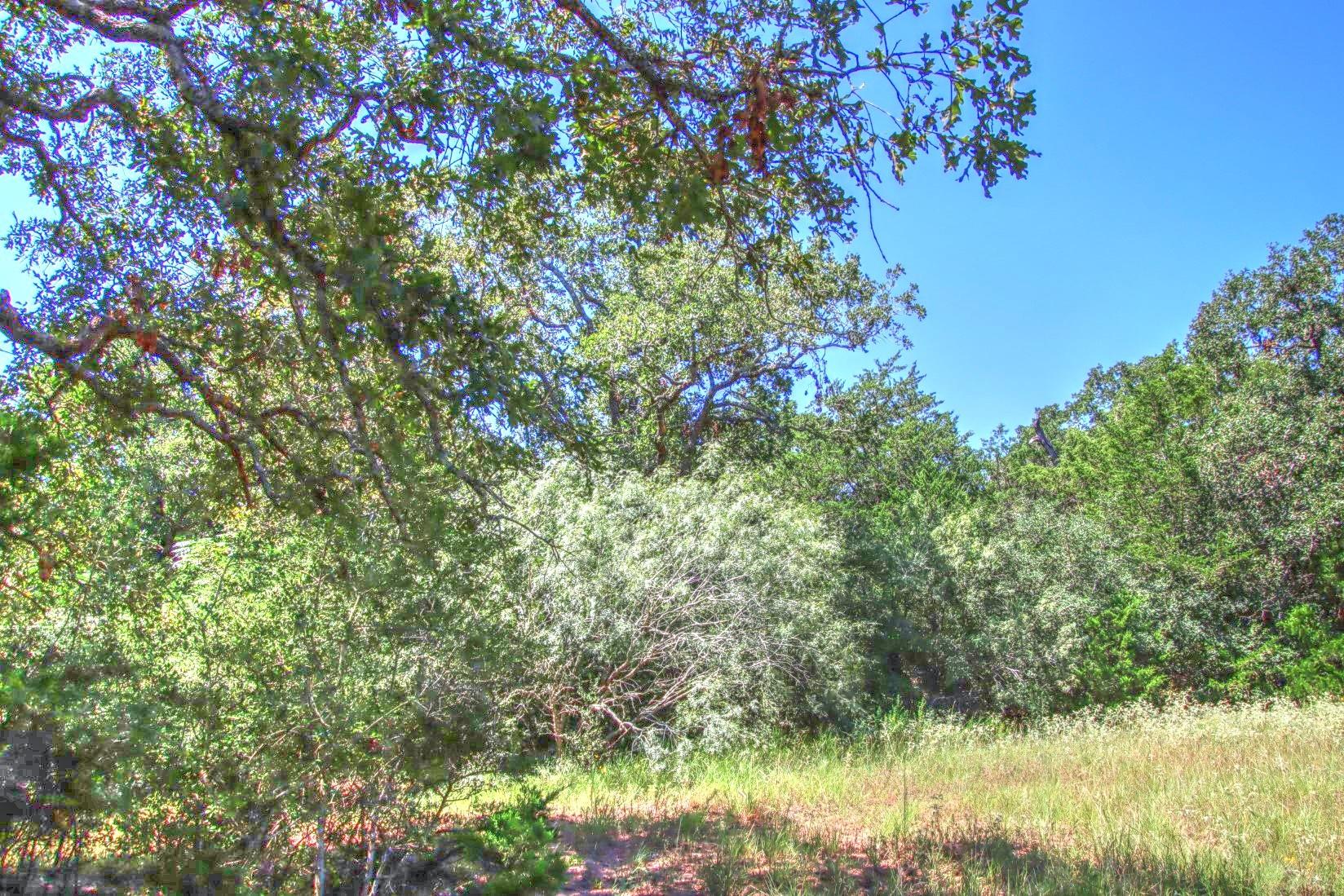 Tract 4 County Road 307 Property Photo 7