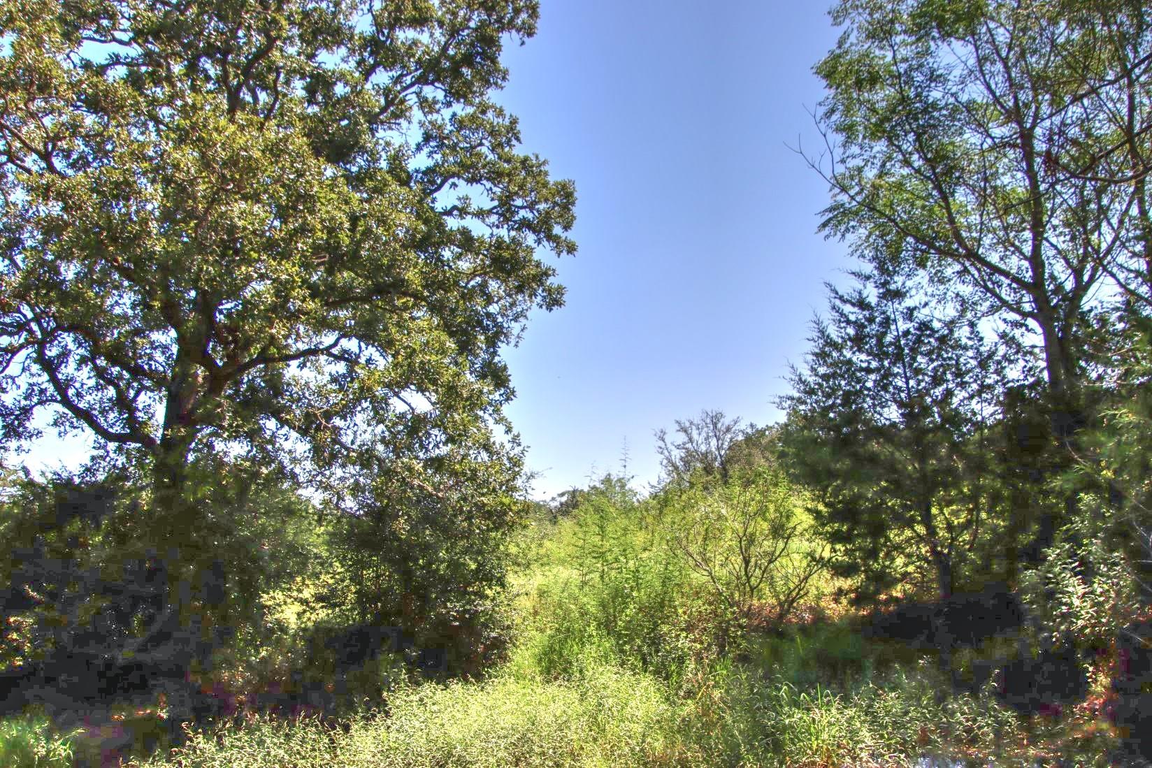 Tract 4 County Road 307 Property Photo 10