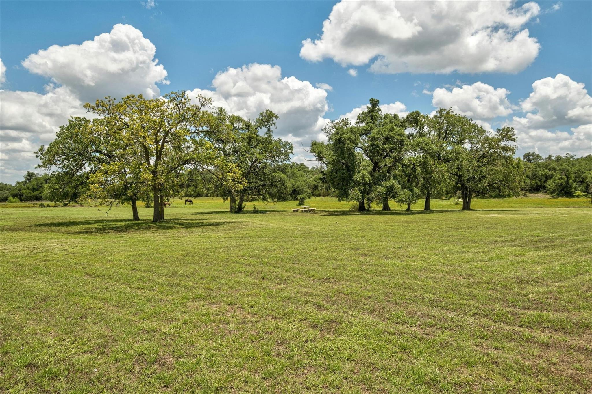 3805 Lone Man Mountain Rd #b Property Photo 25