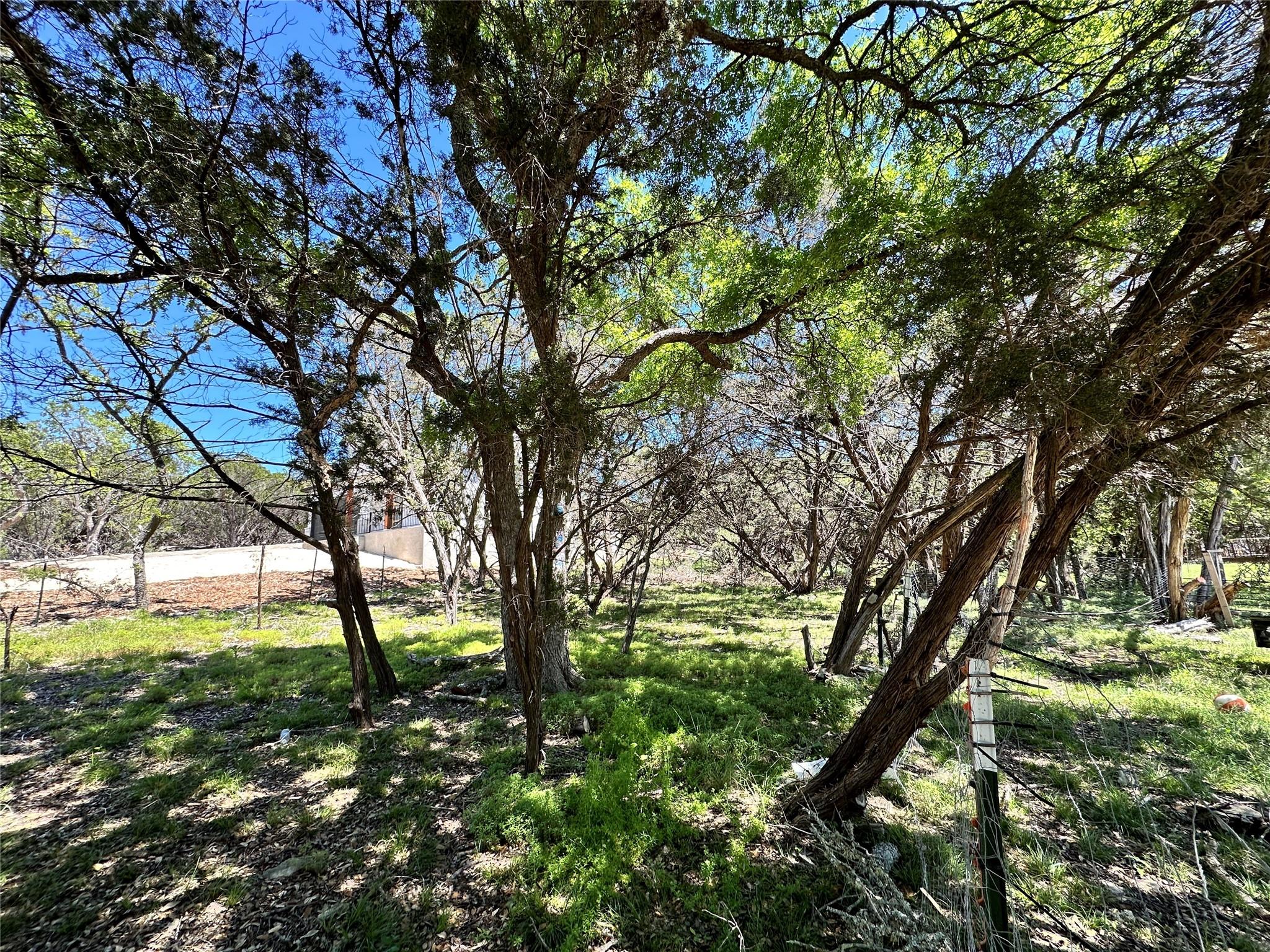 TBD Mimosa St Property Photo 1