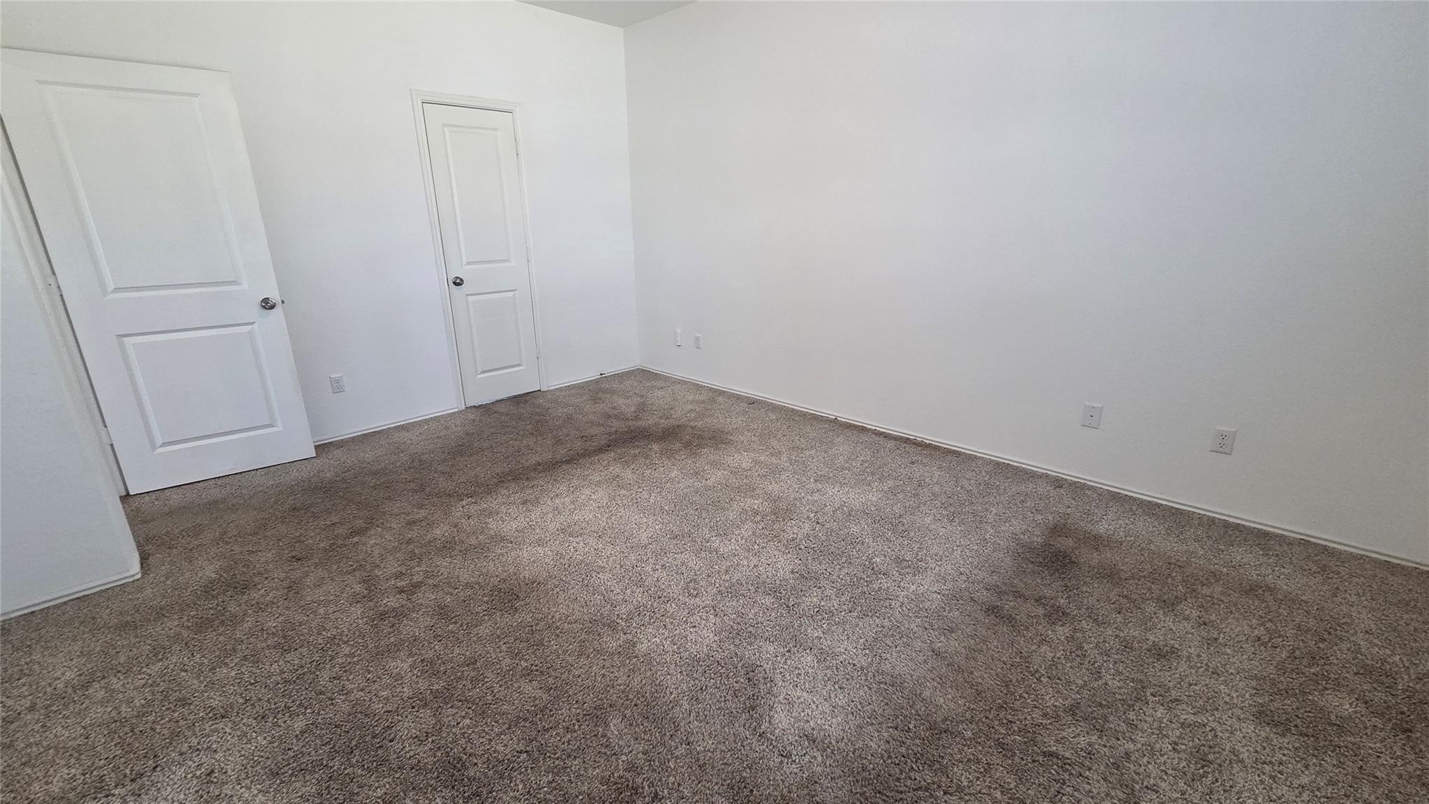 249 Red Buckeye Loop Property Photo 9