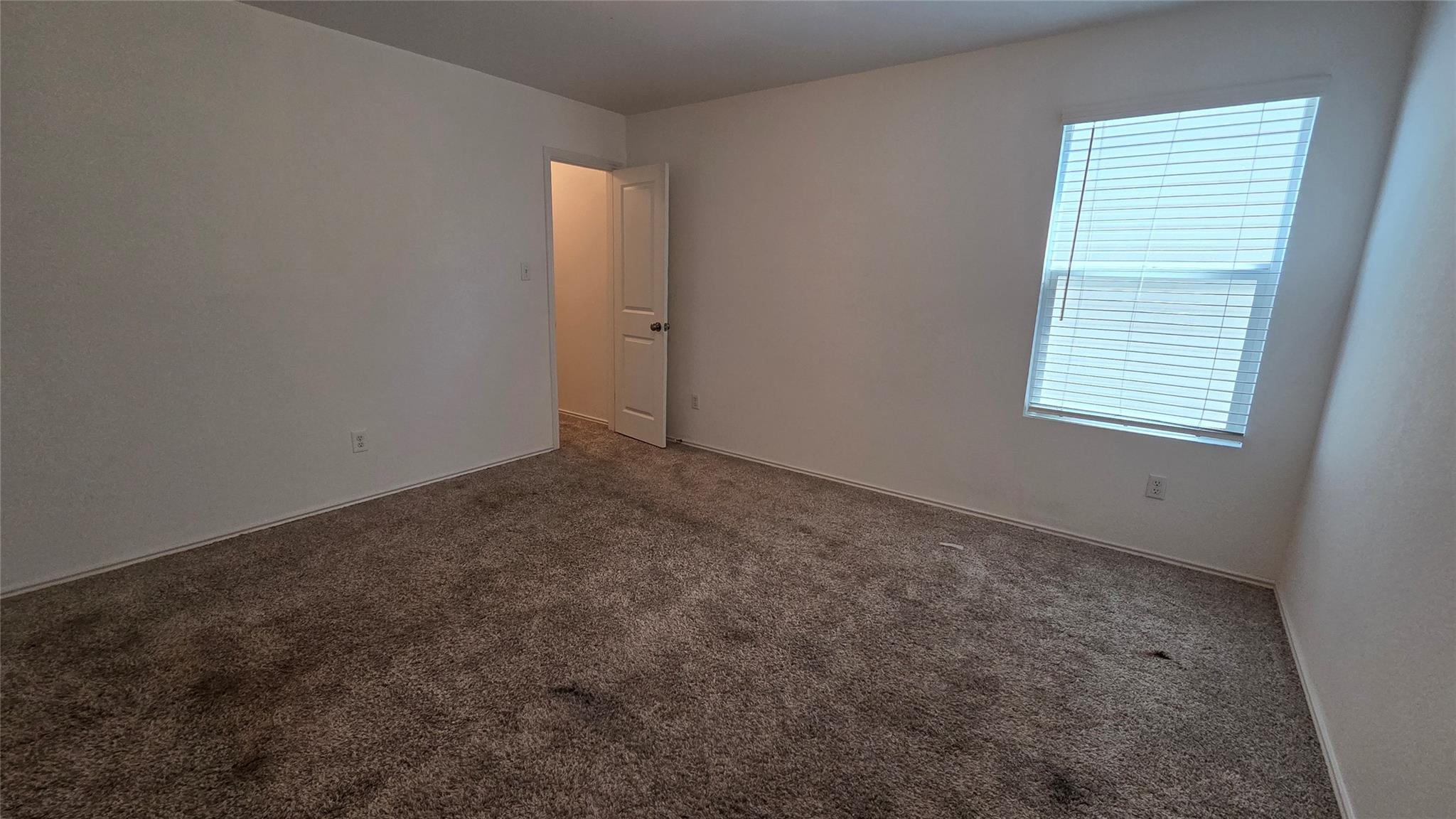 249 Red Buckeye Loop Property Photo 16