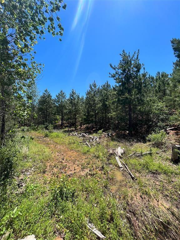 Lot 584 Otani Ct Property Photo 2