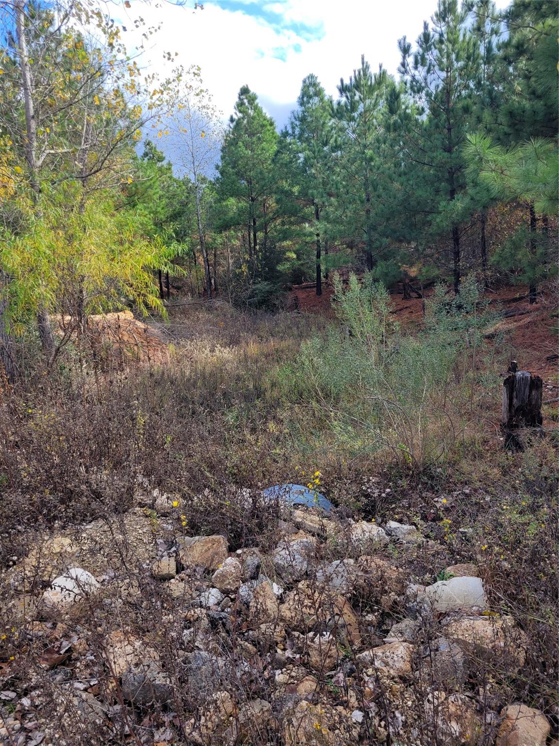 Lot 584 Otani Ct Property Photo 4