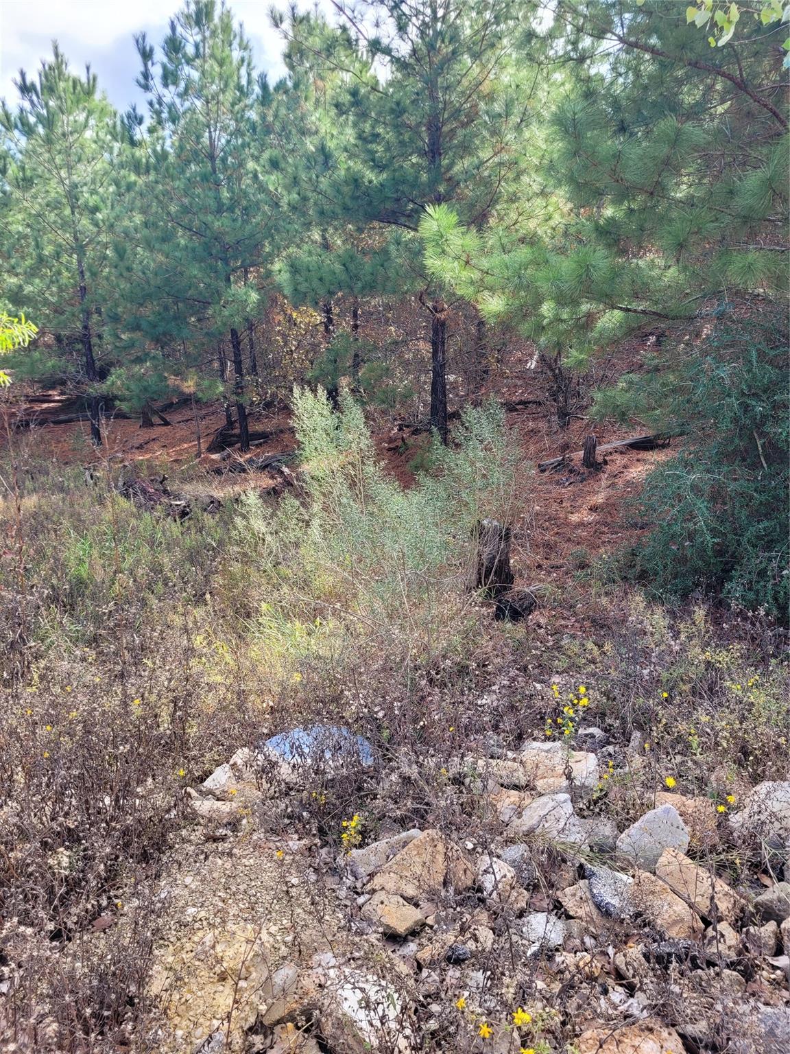 Lot 584 Otani Ct Property Photo 5
