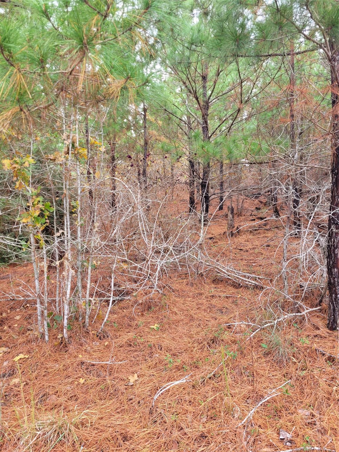 Lot 584 Otani Ct Property Photo 6