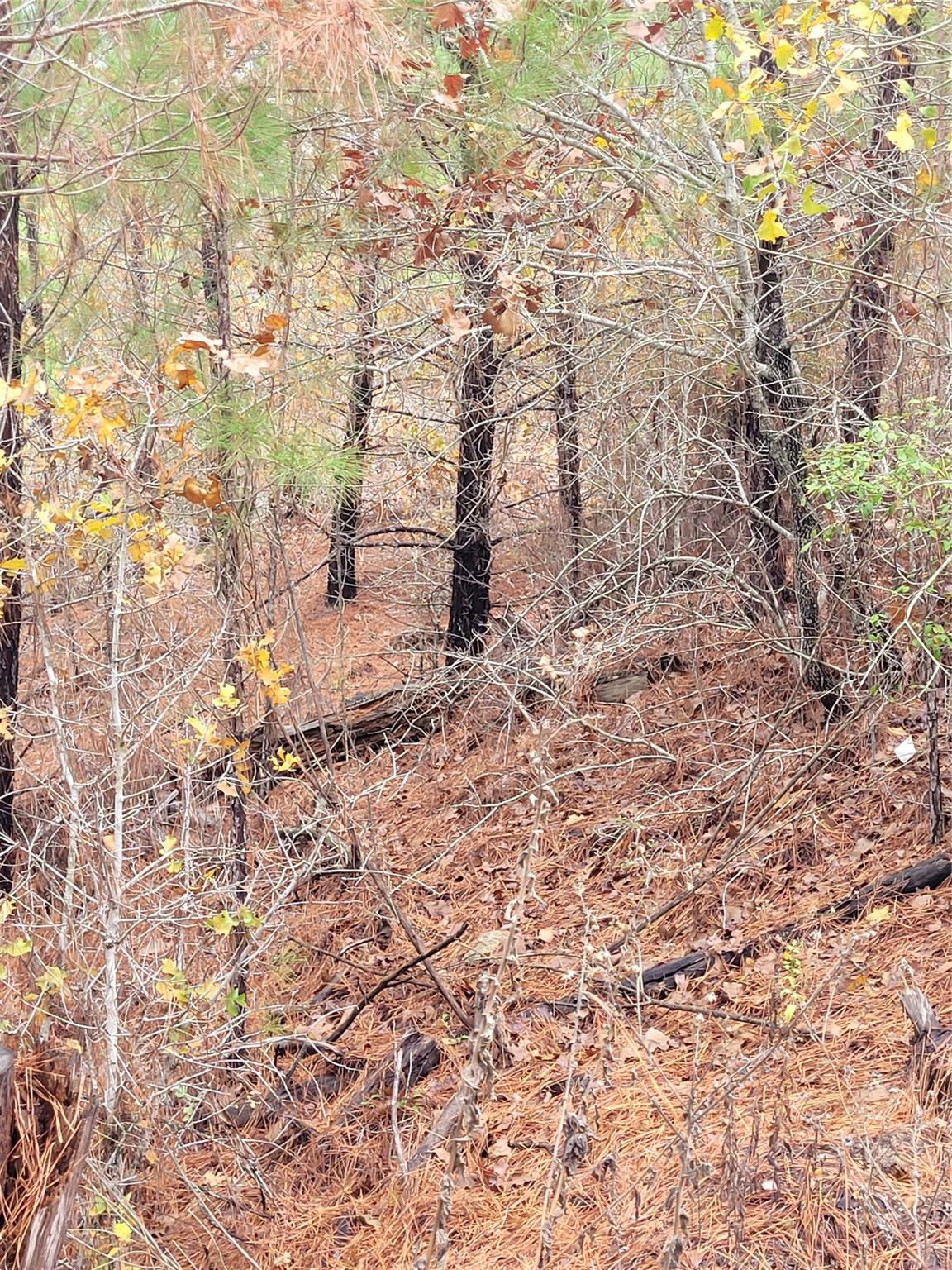Lot 584 Otani Ct Property Photo 7