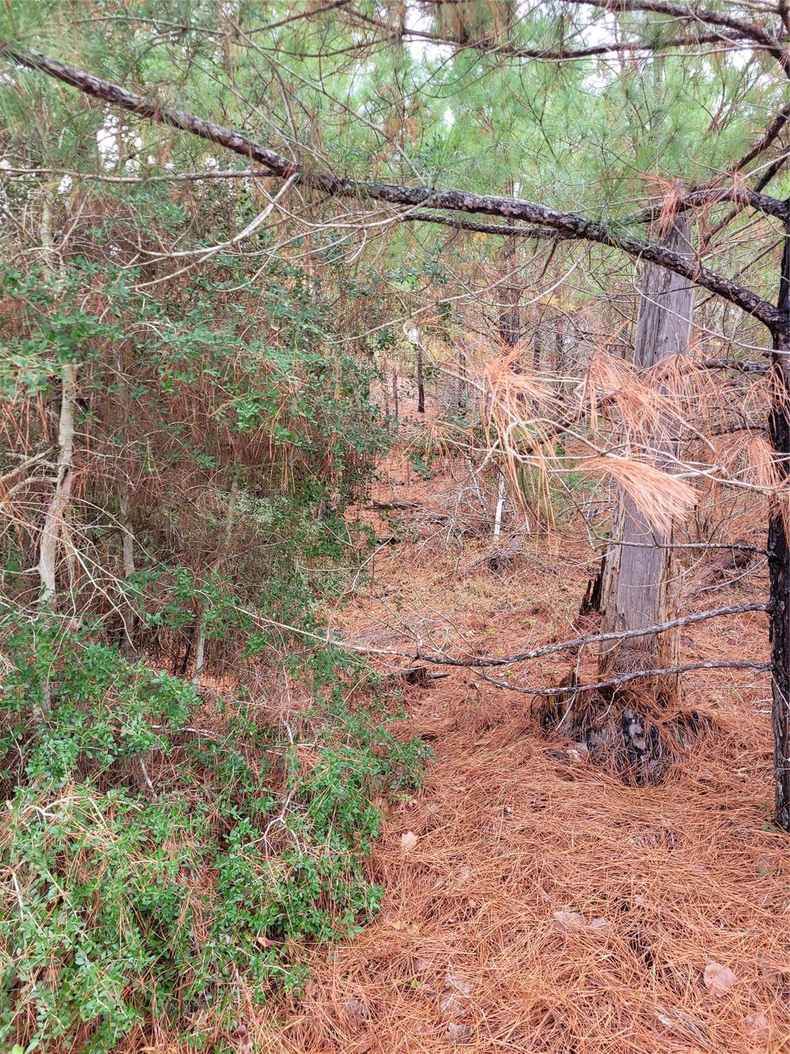 Lot 584 Otani Ct Property Photo 8