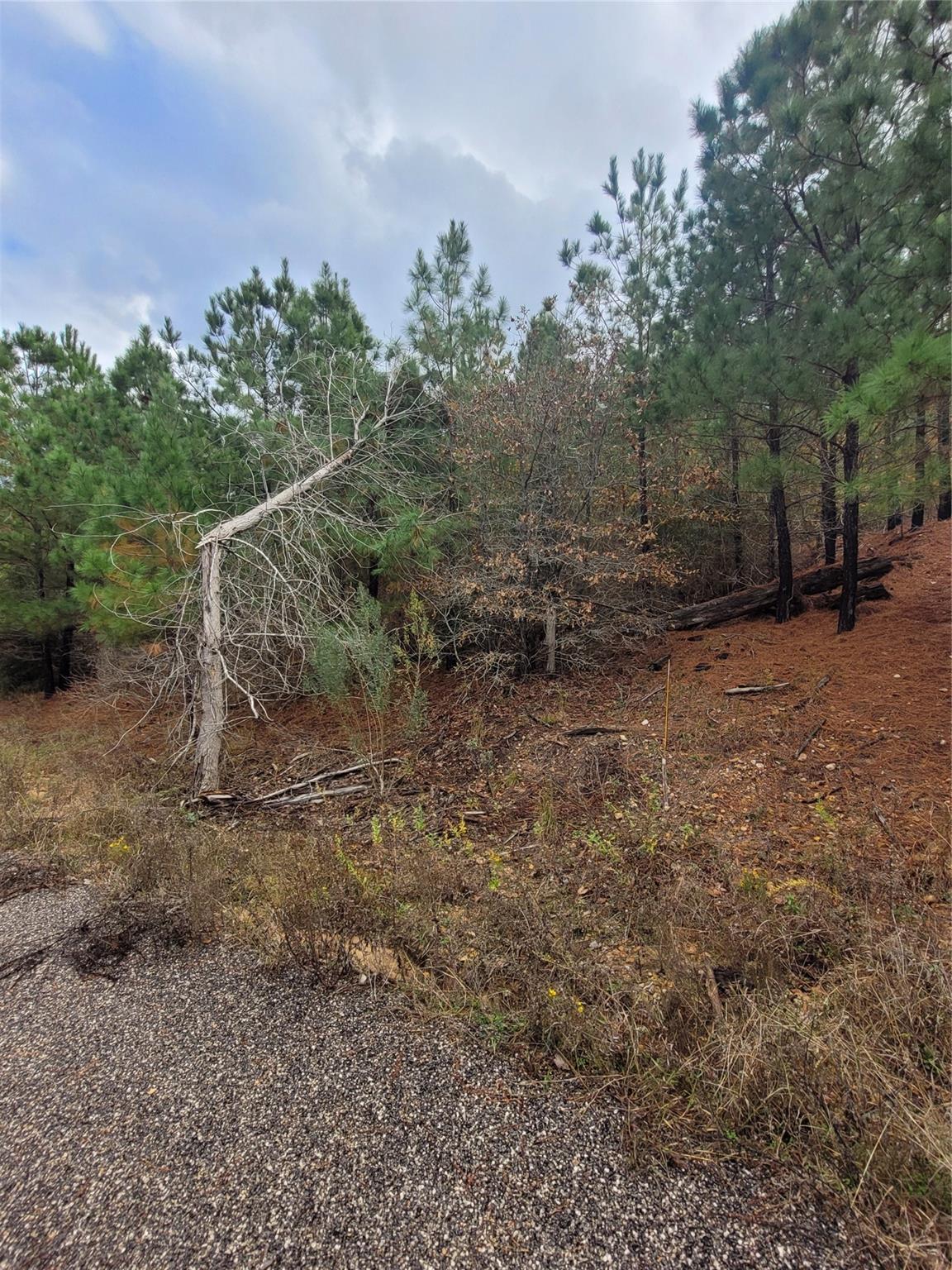 Lot 584 Otani Ct Property Photo 10