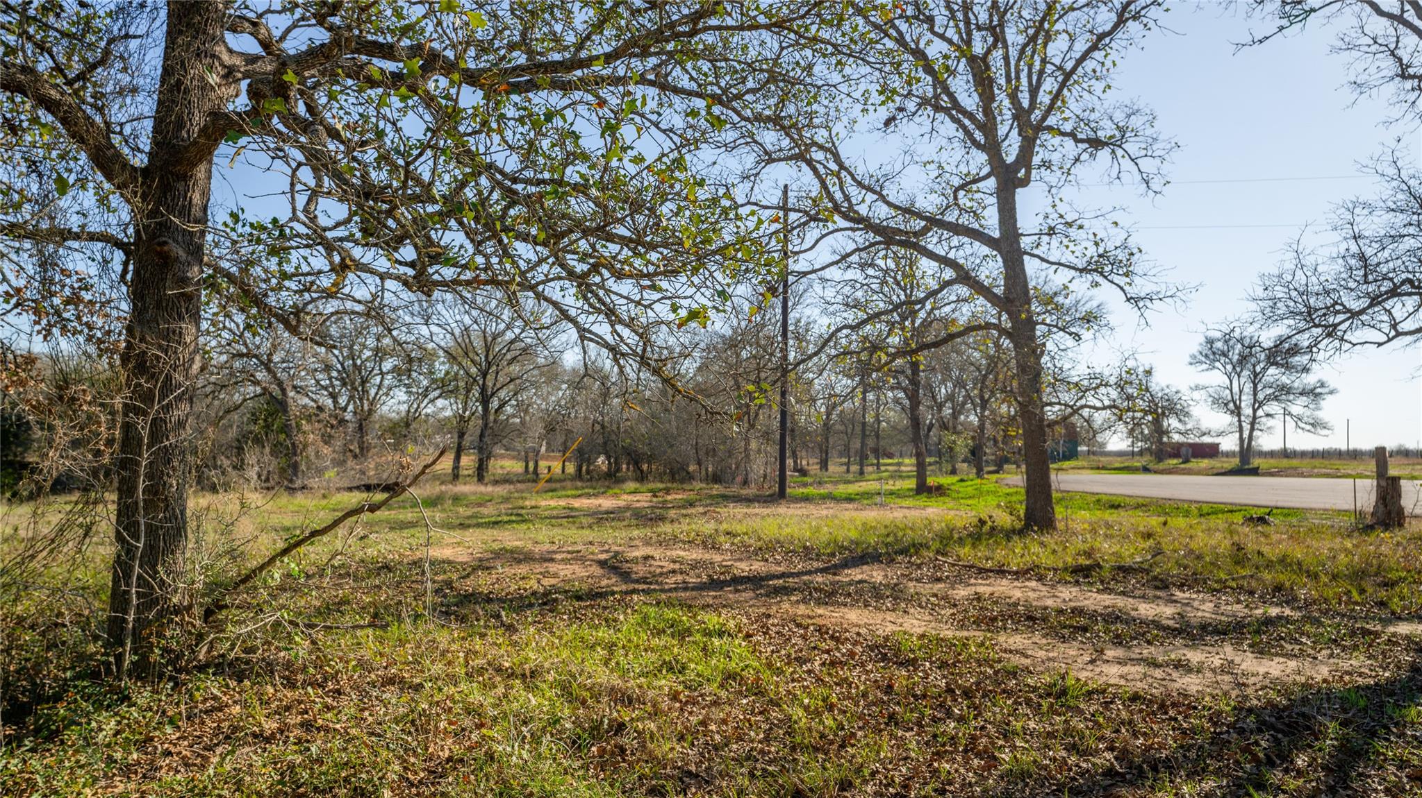 199 Azalea Ct Property Photo 7