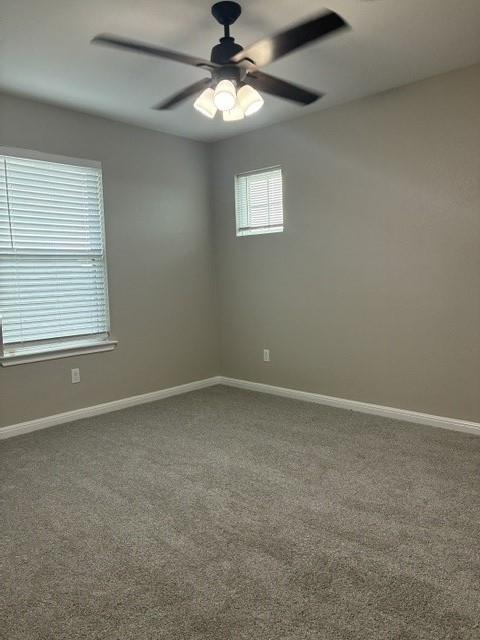 19013 Scoria Dr Property Photo 21