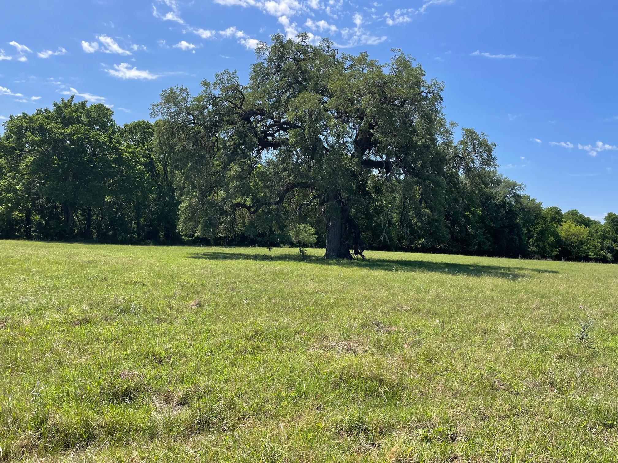 Tbd 144.45 Acres None Property Photo 1