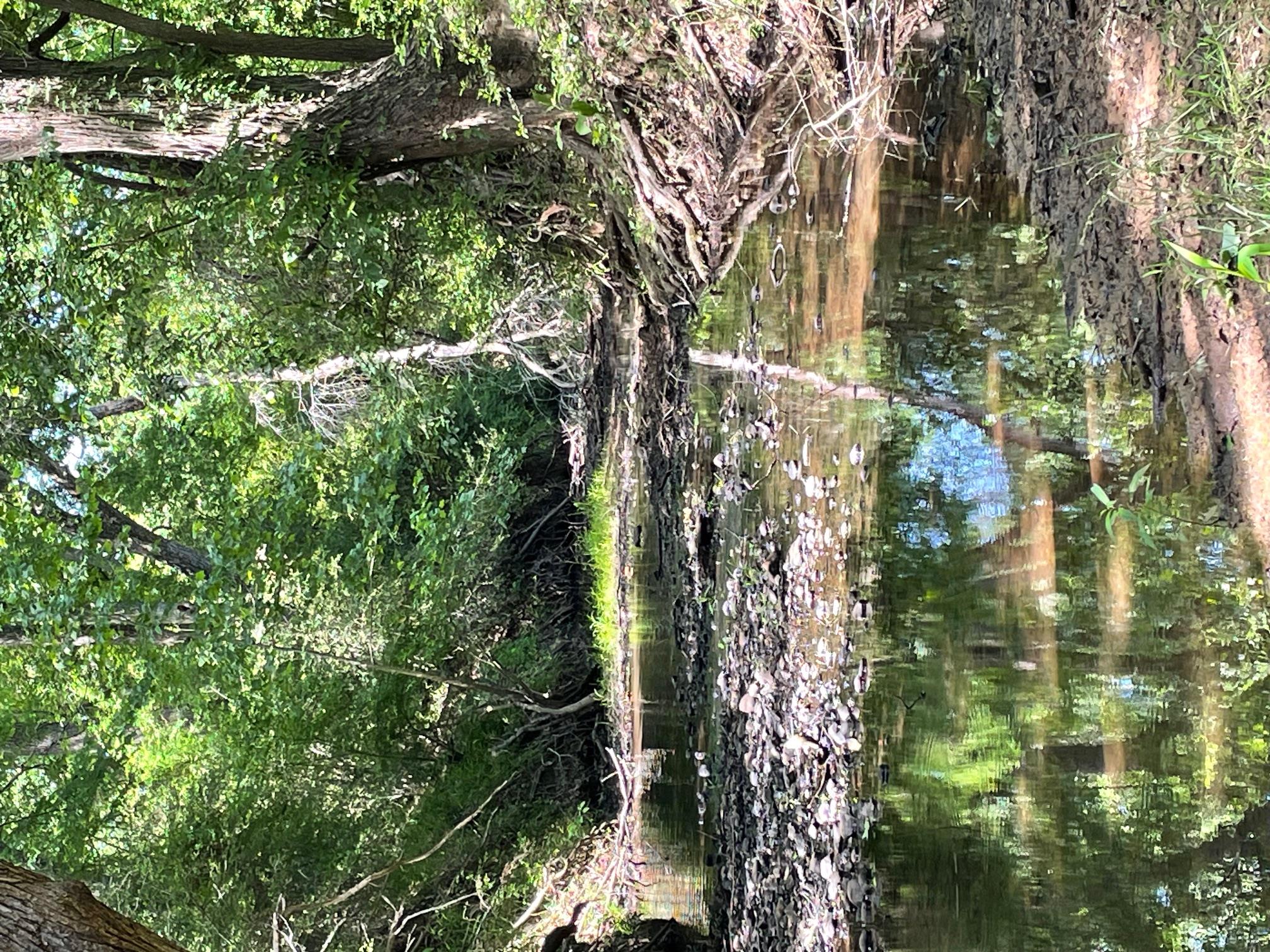 Tbd 144.45 Acres None Property Photo 2