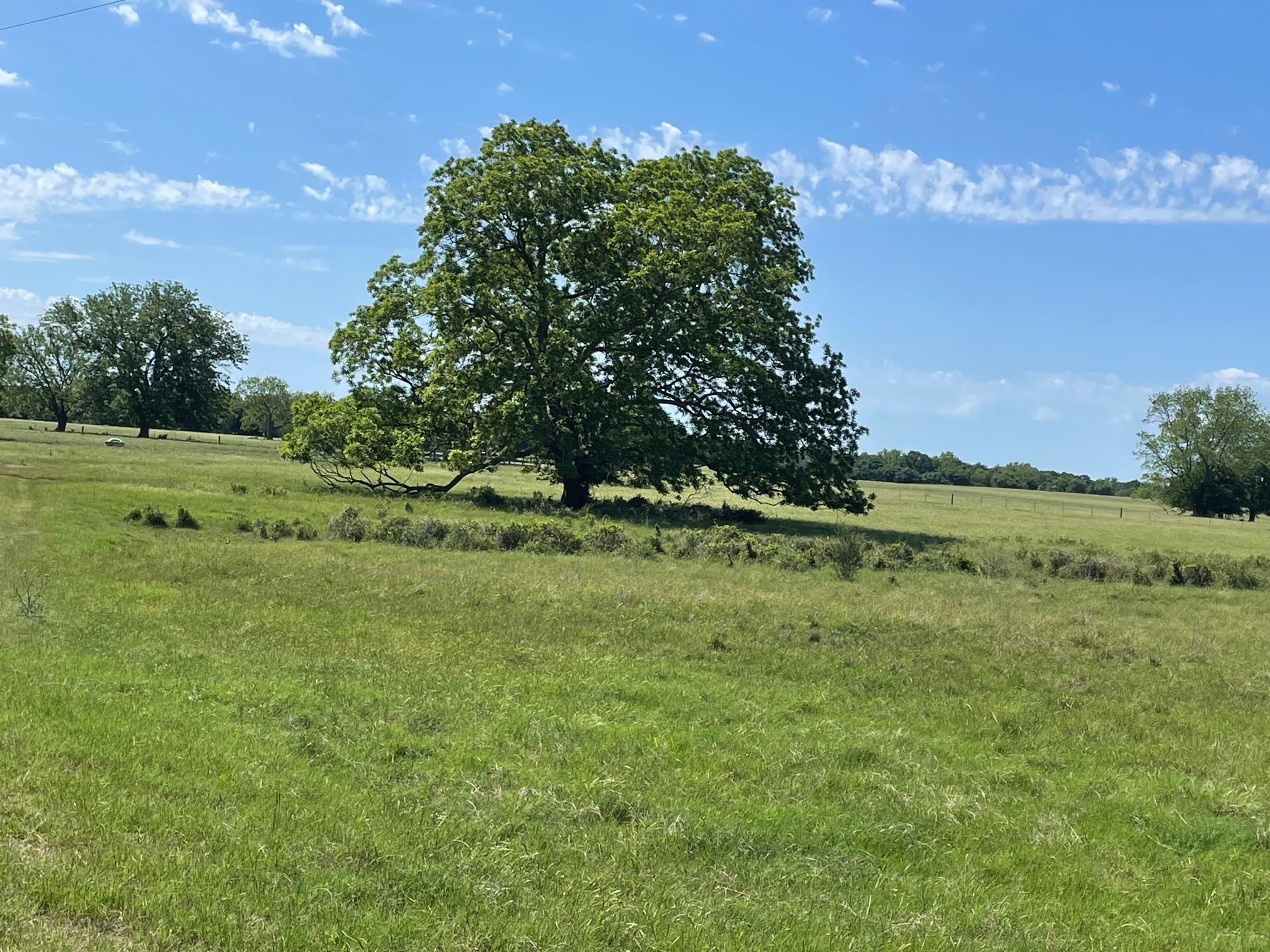 Tbd 144.45 Acres None Property Photo 15