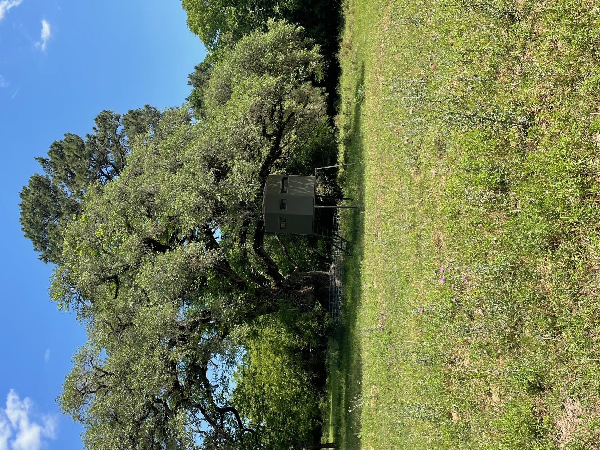 Tbd 144.45 Acres None Property Photo 18