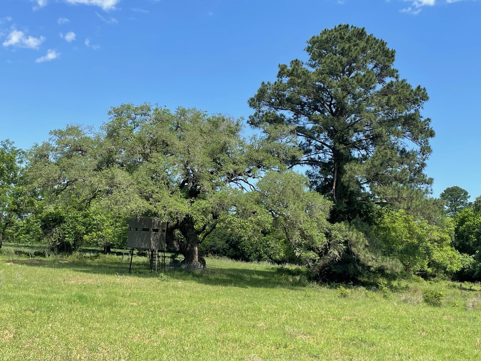 Tbd 144.45 Acres None Property Photo 19