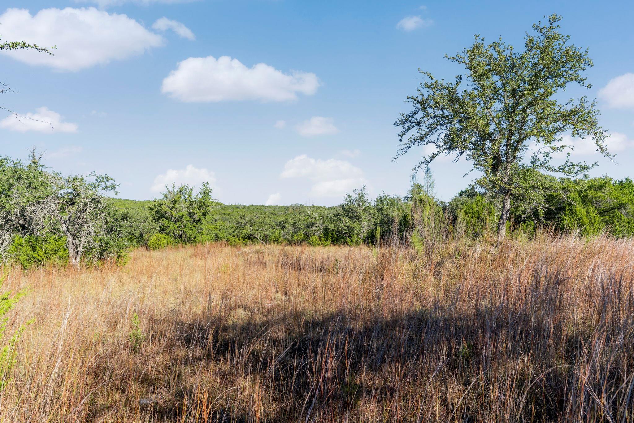 2021 Stagecoach Ranch Rd Property Photo 7