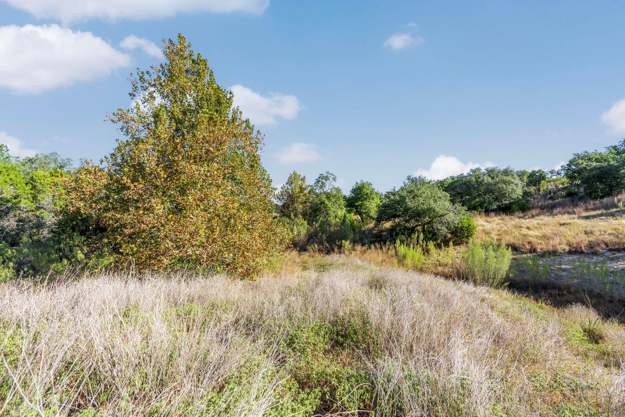 2021 Stagecoach Ranch Rd Property Photo 17
