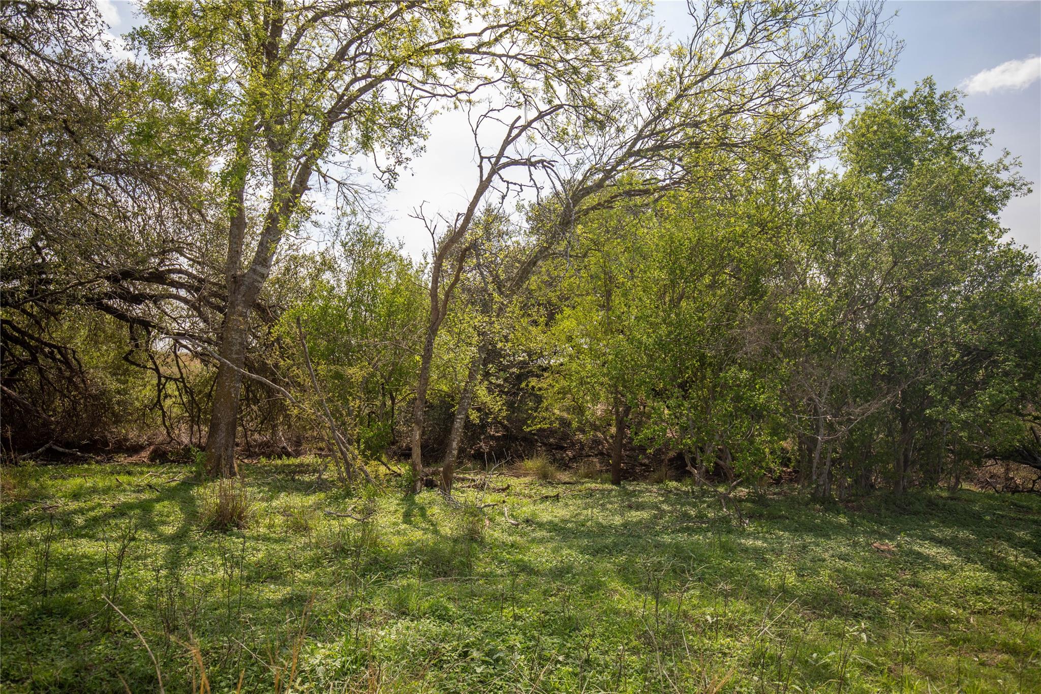 560 Pr Goose Creek Ln Property Photo 13