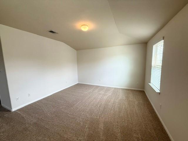 1101 Snow Goose None Property Photo 8