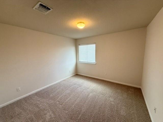 1101 Snow Goose None Property Photo 25