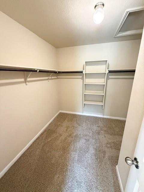 1101 Snow Goose None Property Photo 29