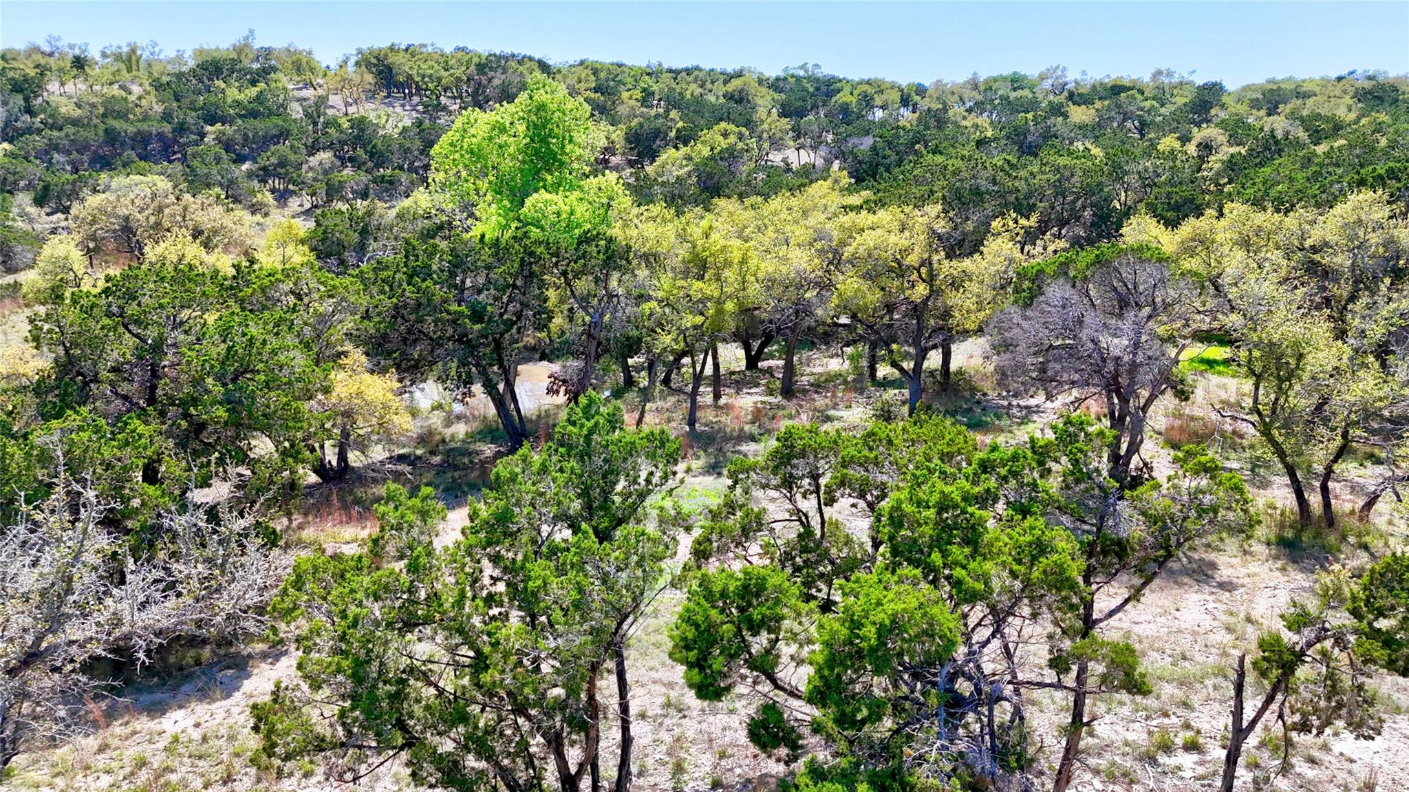Tbd Moonridge Ln Property Photo 3