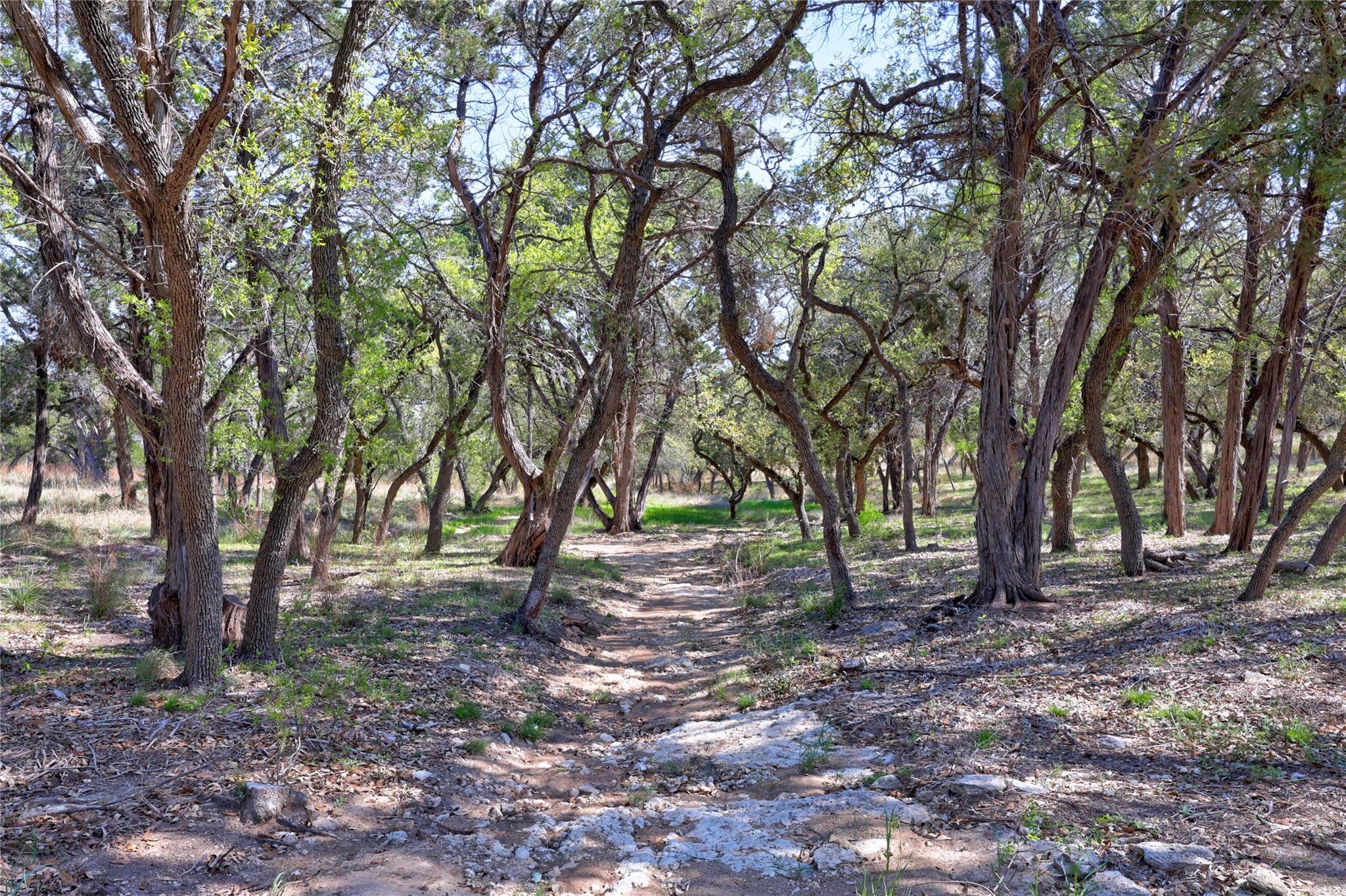 Tbd Moonridge Ln Property Photo 6