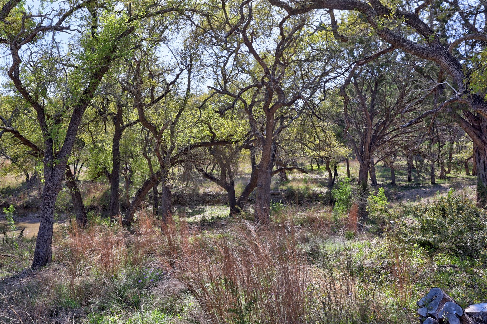 Tbd Moonridge Ln Property Photo 7